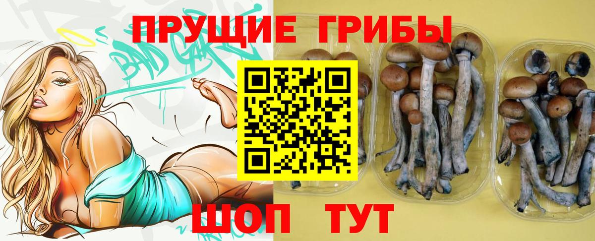 Псилоцибиновые грибы Cubensis  Галлюциногенные грибы мицелий  Вход с VPN  Киров 